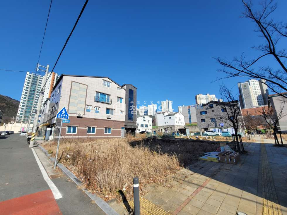 대구 달성군 구지면 창리 주1동 청춘박소장 I 23년 준공 신축 상가주택 매매 I 주인세대 실거주 추천 매매 매물번호 11465 사진 3