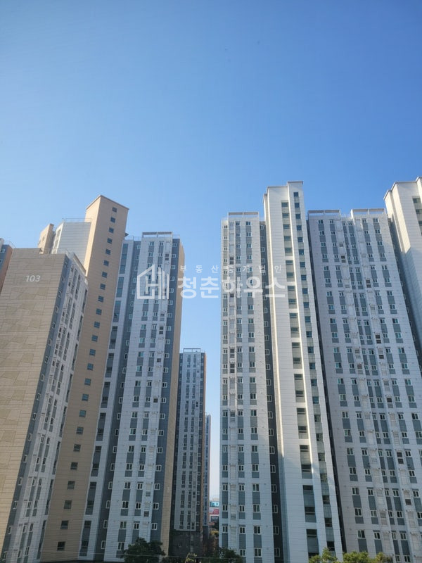 대구 달성군 구지면 응암리 1251 201동 깔끔한 내부 입주조율가능 관리잘된집 월세 매물번호 12033 사진 1